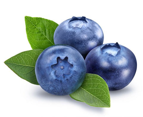 Blueberry ICE Flavor Shot 25 ml + 75ml base